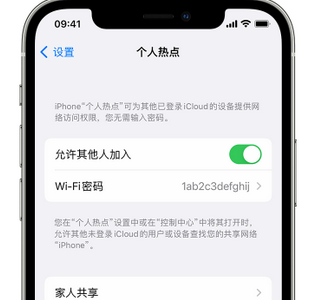 天坛街道apple服务站点分享iPhone上个人热点丢失了怎么办 