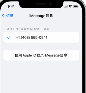 天坛街道apple维修iPhone上无法正常发送iMessage信息 