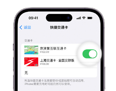 天坛街道apple维修点分享iPhone上更换Apple Pay快捷交通卡手绘卡面 