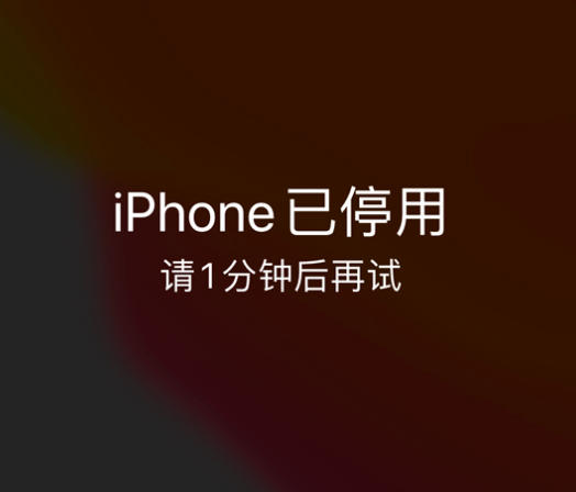 天坛街道苹果手机维修分享:iPhone 显示“不可用”或“已停用”怎么办？还能保留数据吗？ 