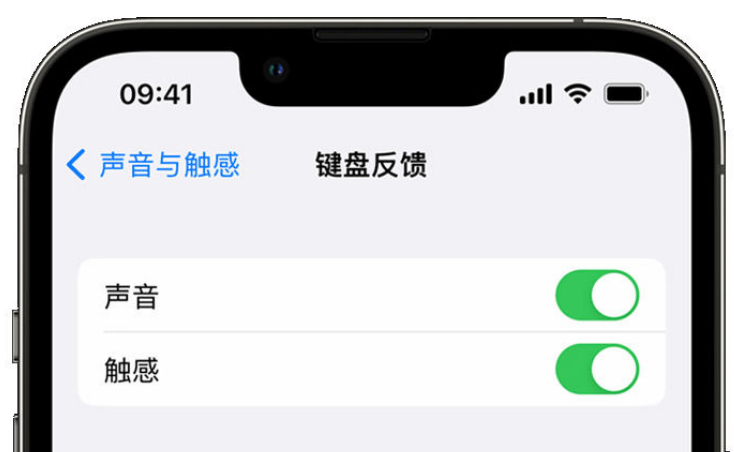 天坛街道苹果手机维修分享iPhone 14触感键盘使用方法 