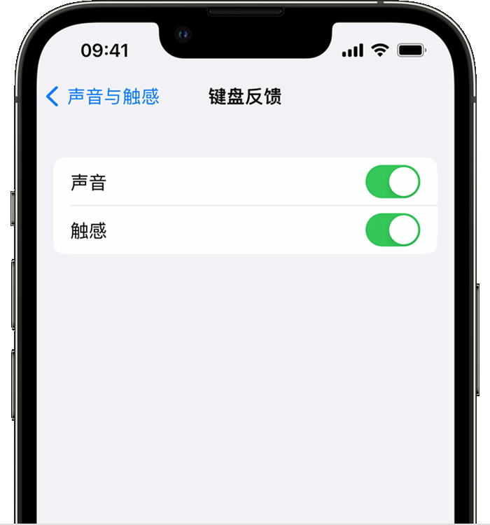 天坛街道苹果14维修店分享如何在 iPhone 14 机型中使用触感键盘 