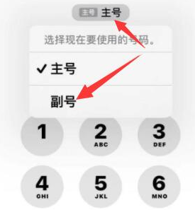 天坛街道苹果14维修店分享iPhone 14 Pro Max使用副卡打电话的方法 