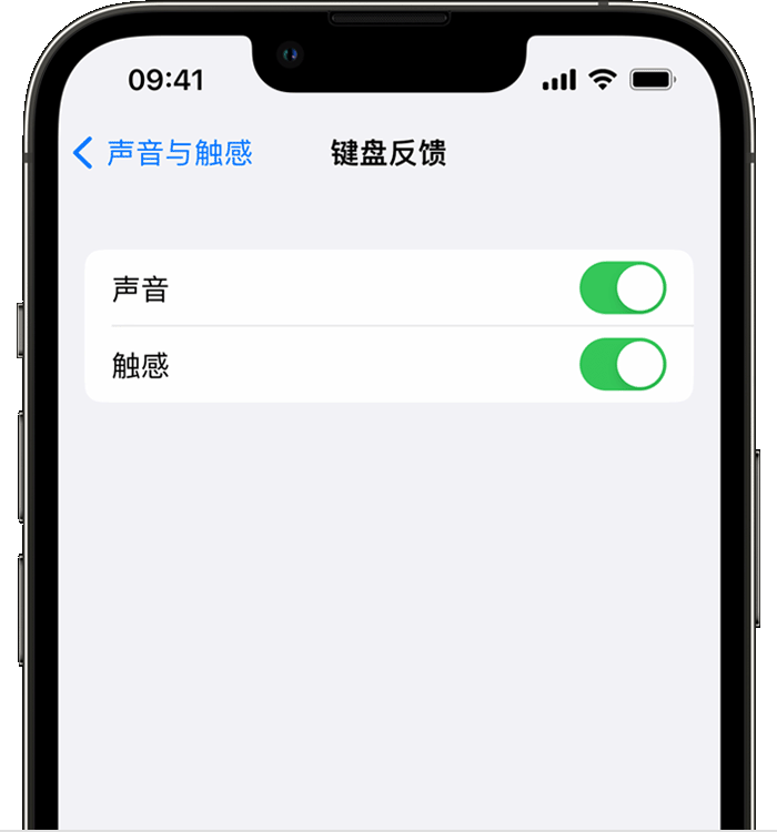 天坛街道苹果14维修分享iPhone 14 系列机型如何开启键盘声音或触感反馈 
