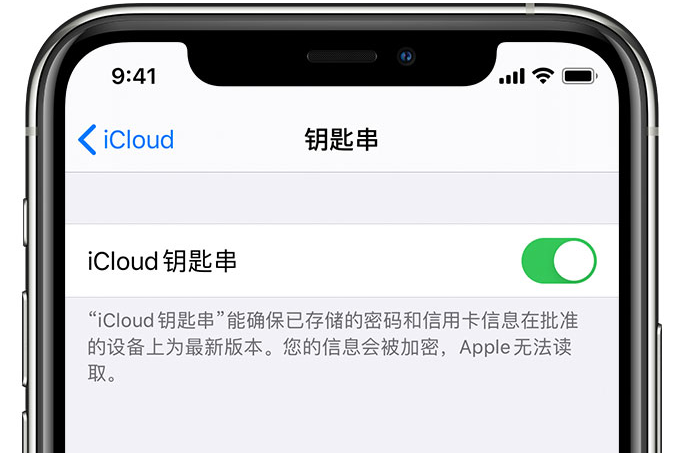 天坛街道苹果手机维修分享在 iPhone 上开启 iCloud 钥匙串之后会储存哪些信息 