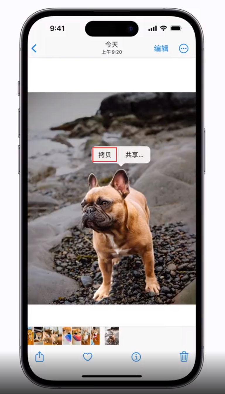 天坛街道苹果手机维修分享 iOS 16 自带一键抠图功能 