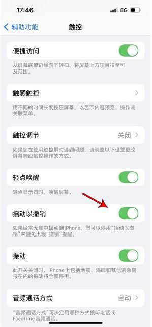 天坛街道苹果手机维修分享iPhone手机如何设置摇一摇删除文字 